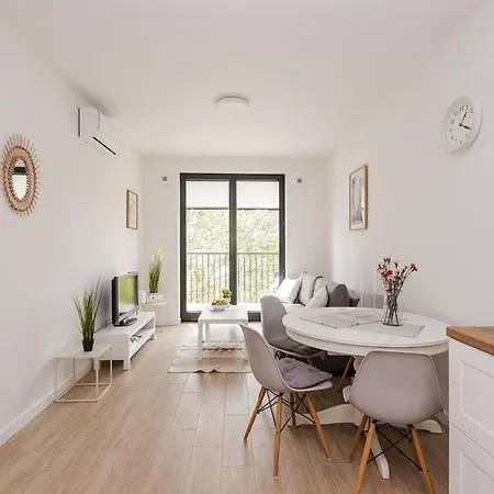 Shortstaypoland Sokratesa